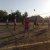  На территории поселения 12 августа в рамках празднования Дня физкультурника проведены спортивные соревнования по волейболу, дартцу, армспорту.
