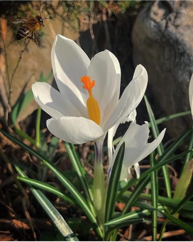 foto 01 04 2019 16 12 3