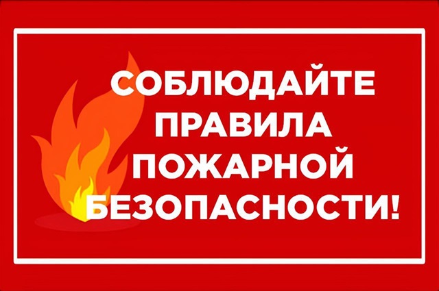 foto 2025 06 06 16 48