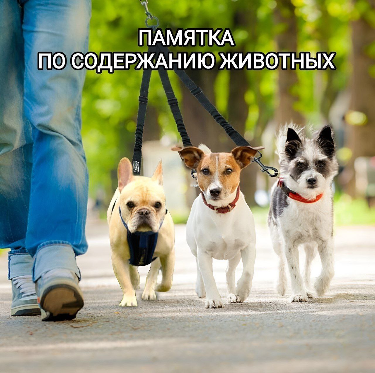 IMG 20250709 155346 070